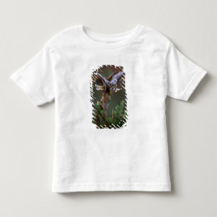 VS, Georgia, Pine Mountain, Callaway Gardens. Kinder Shirts