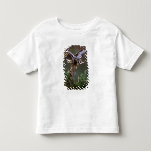 VS, Georgia, Pine Mountain, Callaway Gardens. Kinder Shirts (Voorkant)