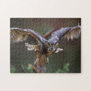 VS, Georgia, Pine Mountain, Callaway Gardens Legpuzzel