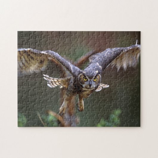 VS, Georgia, Pine Mountain, Callaway Gardens Legpuzzel (Horizontaal)