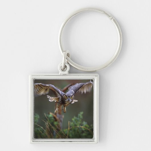 VS, Georgia, Pine Mountain, Callaway Gardens. Sleutelhanger (Voorkant)
