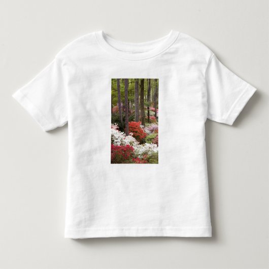 VS, Georgia, Pine Mountain. Een bos van Kinder Shirts (Voorkant)