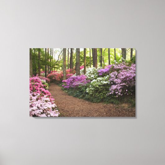 VS, Georgia, Pine Mountain. Een pad door Canvas Afdruk (Voorkant)