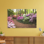 VS, Georgia, Pine Mountain. Een pad door Canvas Afdruk (Insitu (Woonkamer))