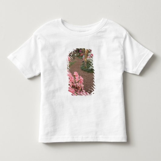 VS, Georgia, Pine Mountain. Een pad door Kinder Shirts (Voorkant)