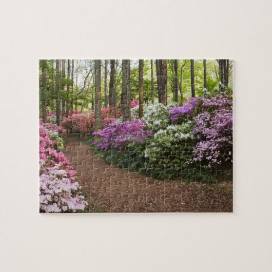 VS, Georgia, Pine Mountain. Een pad door Legpuzzel (Horizontaal)