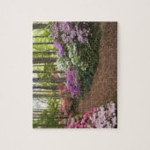 VS, Georgia, Pine Mountain. Een pad door Legpuzzel (Verticaal)