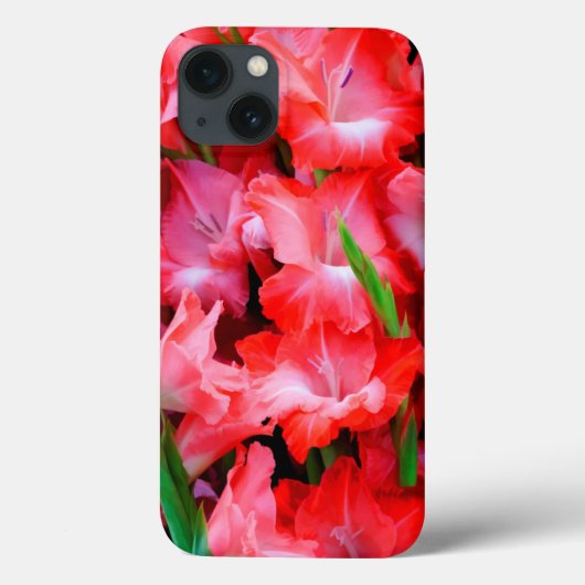 VS, Georgia, Savannah, Boeket Gladiolen Case-Mate iPhone Case (Achterkant)