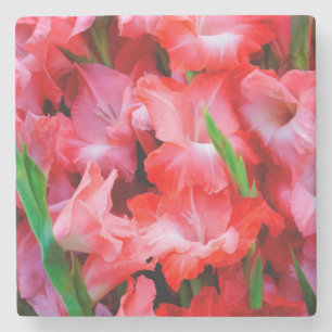 VS, Georgia, Savannah, Boeket Gladiolus Stenen Onderzetter