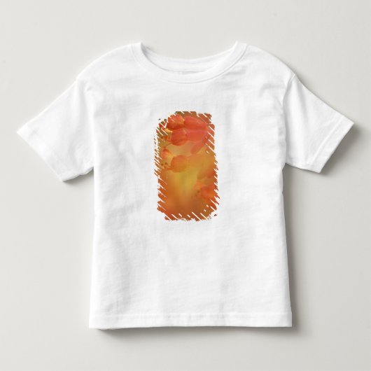 VS Georgia Savannah buckeye bloem abstract Kinder Shirts (Voorkant)