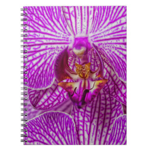 VS, Georgia, Savannah, Close-up van orchidee Notitieboek