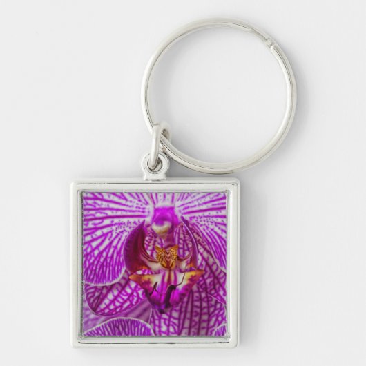 VS, Georgia, Savannah, Close-up van orchidee Sleutelhanger (Voorkant)