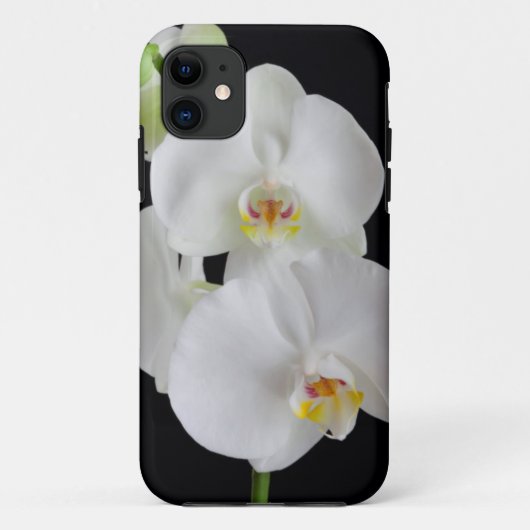 VS, Georgia, Savannah, Cluster Orchideeën Case-Mate iPhone Case (Achterkant)
