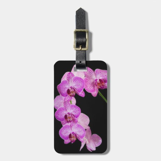 VS, Georgia, Savannah, Cluster van Orchideeën 2 Bagagelabel (Voorkant verticaal)