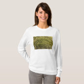 VS; Georgia; Savannah. Eikenbomen met T-shirt (Voorkant volledig)