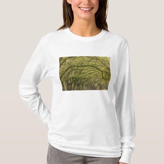VS; Georgia; Savannah. Eikenbomen met T-shirt (Voorkant)