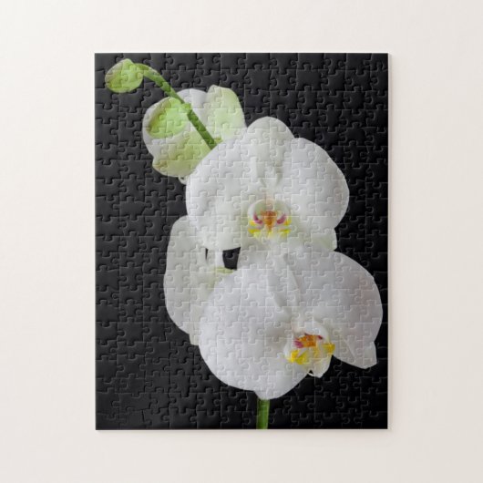 VS, Georgia, Savannah, groep orchideeën Legpuzzel (Verticaal)