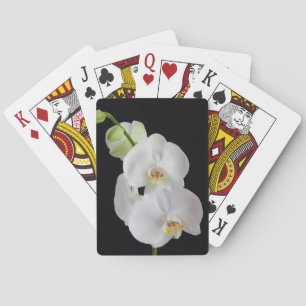 VS, Georgia, Savannah, Groep Orchideeën Speelkaarten