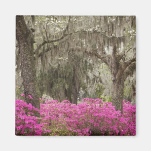 VS, Georgia, Savannah, Lente bij Historic Magneet