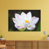 VS, Georgia, Savannah, Lootusbloei Canvas Afdruk (Insitu (Woonkamer))