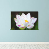 VS, Georgia, Savannah, Lootusbloei Canvas Afdruk (Insitu (Houten vloer))