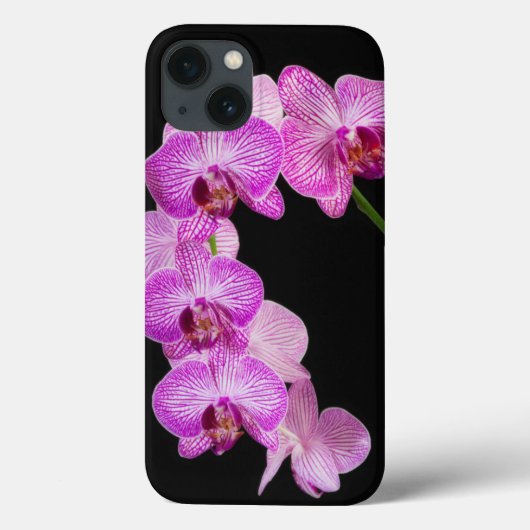 VS, Georgia, Savannah, Orchideeëncluster 2 Case-Mate iPhone Case (Achterkant)