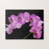 VS, Georgia, Savannah, Orchideeëncluster 2 Legpuzzel (Horizontaal)