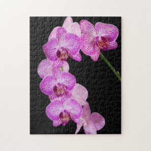 VS, Georgia, Savannah, Orchideeëncluster 2 Legpuzzel
