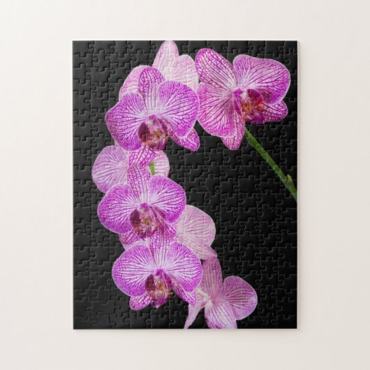 VS, Georgia, Savannah, Orchideeëncluster 2 Legpuzzel (Verticaal)