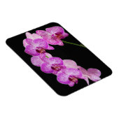 VS, Georgia, Savannah, Orchideeëncluster 2 Magneet (Rechterzijde)