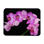 VS, Georgia, Savannah, Orchideeëncluster 2 Magneet (Horizontaal)