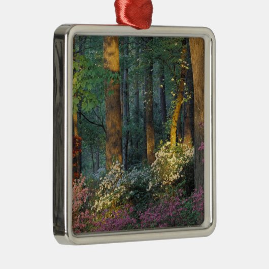 VS, Georgië, Callaway Gardens, Azalea woud. Metalen Ornament (Rechts)