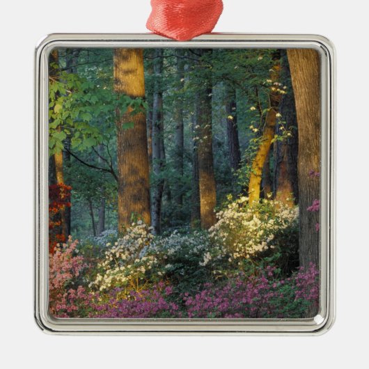 VS, Georgië, Callaway Gardens, Azalea woud. Metalen Ornament (Voorkant)