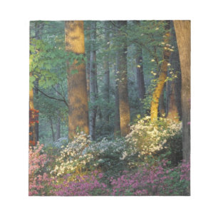 VS, Georgië, Callaway Gardens, Azalea woud. Notitieblok