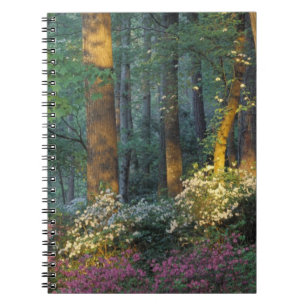 VS, Georgië, Callaway Gardens, Azalea woud. Notitieboek