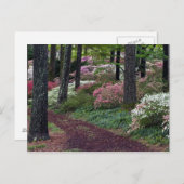 VS, Georgië, Callaway Gardens. route Briefkaart (Voorkant / Achterkant)