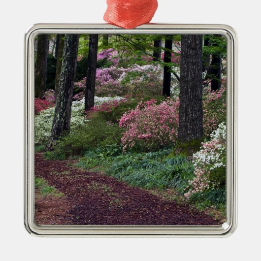 VS, Georgië, Callaway Gardens. route Metalen Ornament (Voorkant)