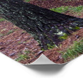 VS, Georgië, Callaway Gardens. route Poster (Hoek)