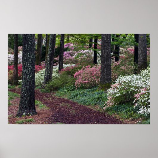 VS, Georgië, Callaway Gardens. route Poster (Voorkant)