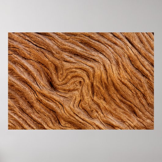 VS, Georgië, Jekyll Island, Abstract Poster (Voorkant)
