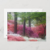 VS; Georgië; Pijnberg. Azaleas op Briefkaart (Voorkant / Achterkant)