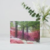 VS; Georgië; Pijnberg. Azaleas op Briefkaart (Staand voorkant)