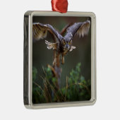 VS, Georgië, Pine Mountain, Callaway Gardens. Metalen Ornament (Rechts)