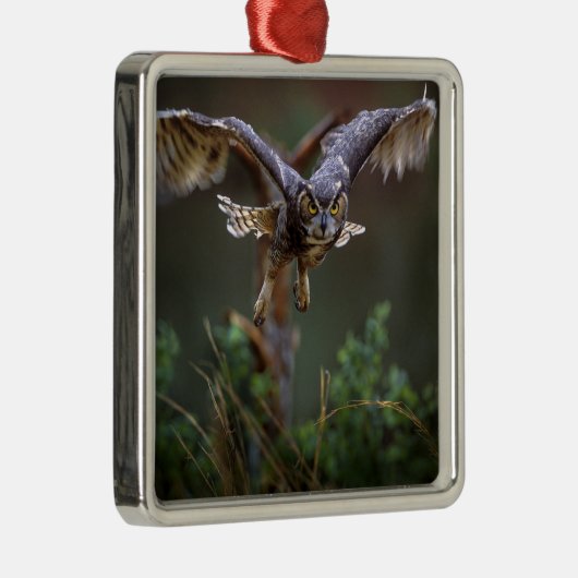 VS, Georgië, Pine Mountain, Callaway Gardens. Metalen Ornament (Rechts)