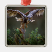 VS, Georgië, Pine Mountain, Callaway Gardens. Metalen Ornament (Voorkant)