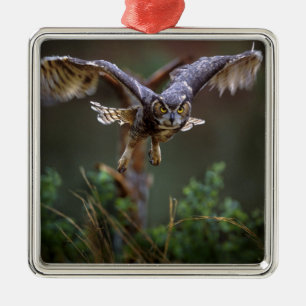 VS, Georgië, Pine Mountain, Callaway Gardens. Metalen Ornament