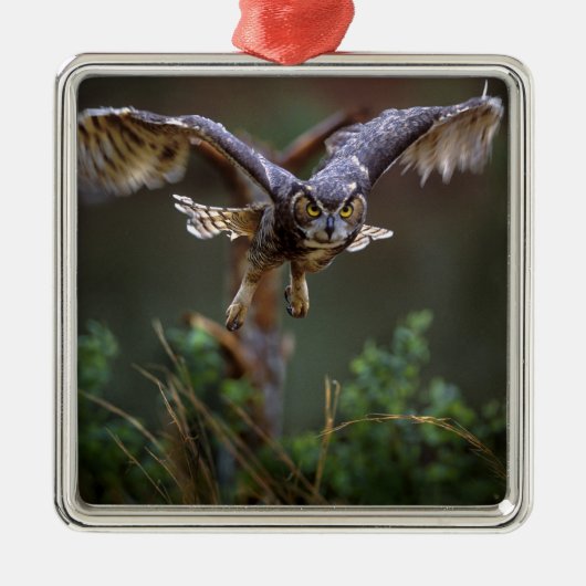 VS, Georgië, Pine Mountain, Callaway Gardens. Metalen Ornament (Voorkant)