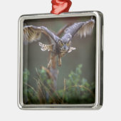 VS, Georgië, Pine Mountain, Callaway Gardens. Metalen Ornament (Links)