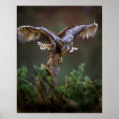 VS, Georgië, Pine Mountain, Callaway Gardens. Poster (Voorkant)