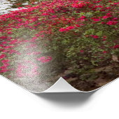 VS, Georgië, Pine Mountain. Een bos van Foto Afdruk (Hoek)